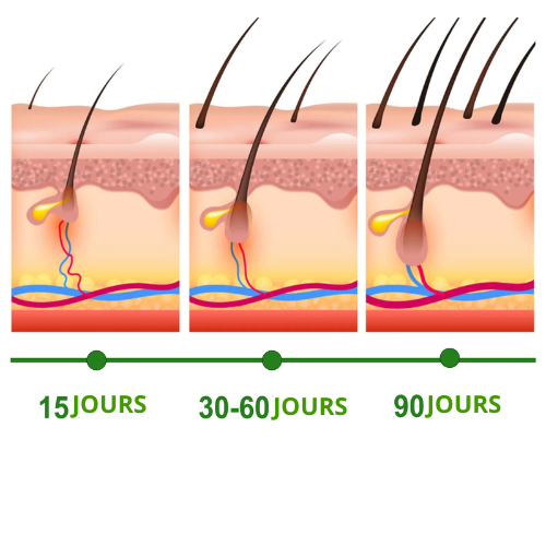 Mélange d'huile de romarin - Croissance des cheveux